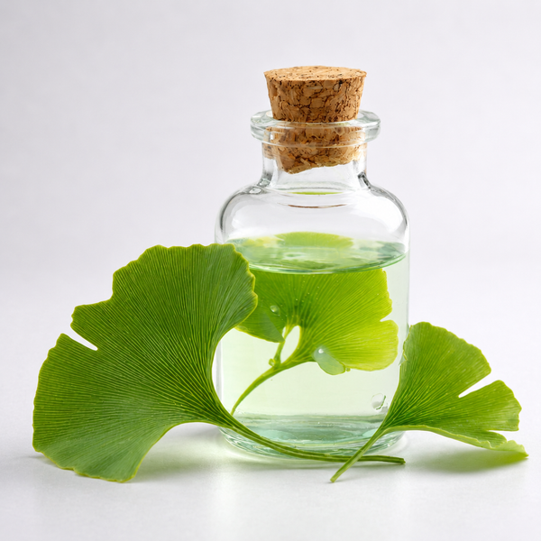 Ginkgo Biloba Leaf Extract